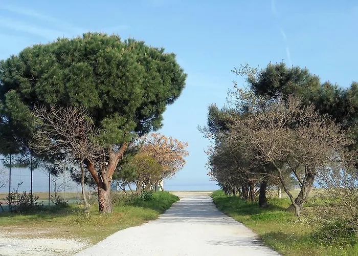Apartament Verano *
