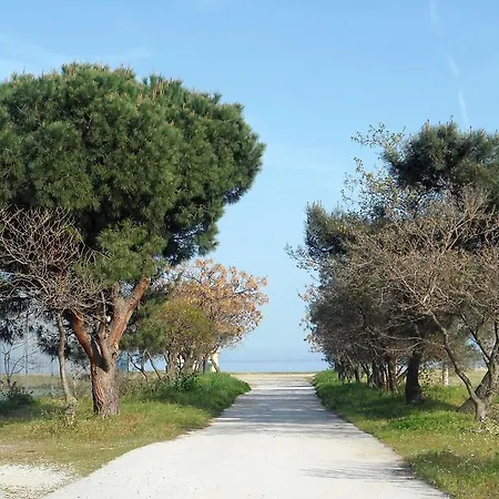Apartment Verano *